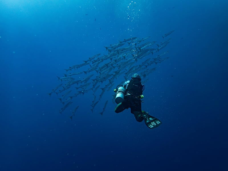 Scuba Diving Image